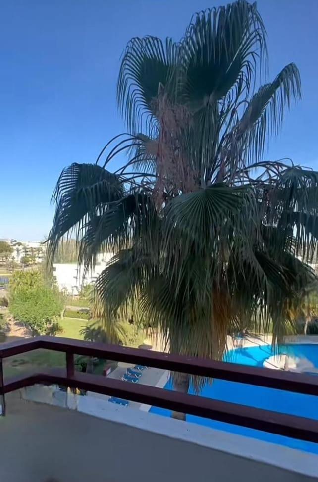 Bright Apartment In Puerto Alcudia Port de Alcudia (Mallorca) Exterior foto